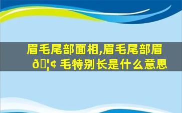 眉毛尾部面相,眉毛尾部眉 🦢 毛特别长是什么意思